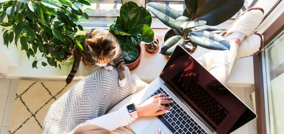 Assistante digitale freelance : les avantages pour vos clients - MyDigitalex